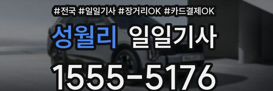 성월리 일일기사