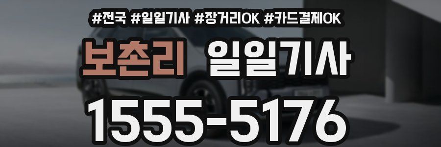 보촌리 일일기사