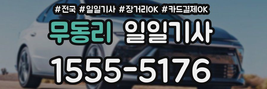 무동리 일일기사