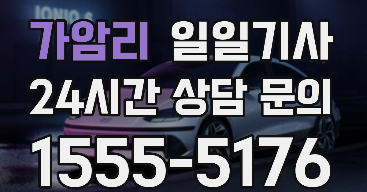 일일대리기사