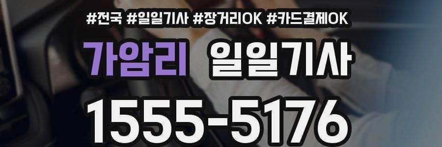 가암리 일일기사