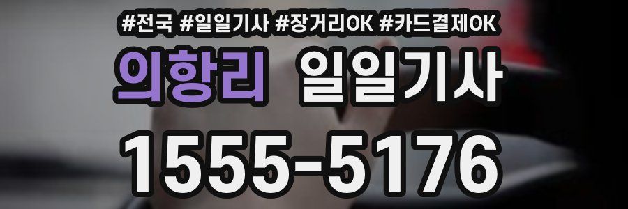 의항리 일일기사