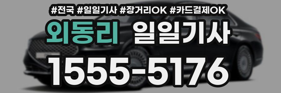 외동리 일일기사