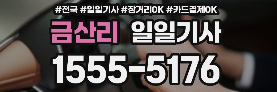 금산리 일일기사