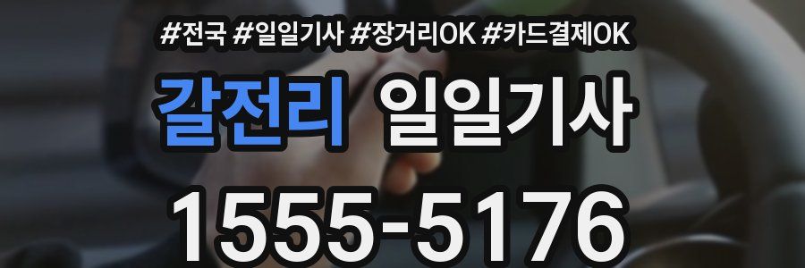 갈전리 일일기사