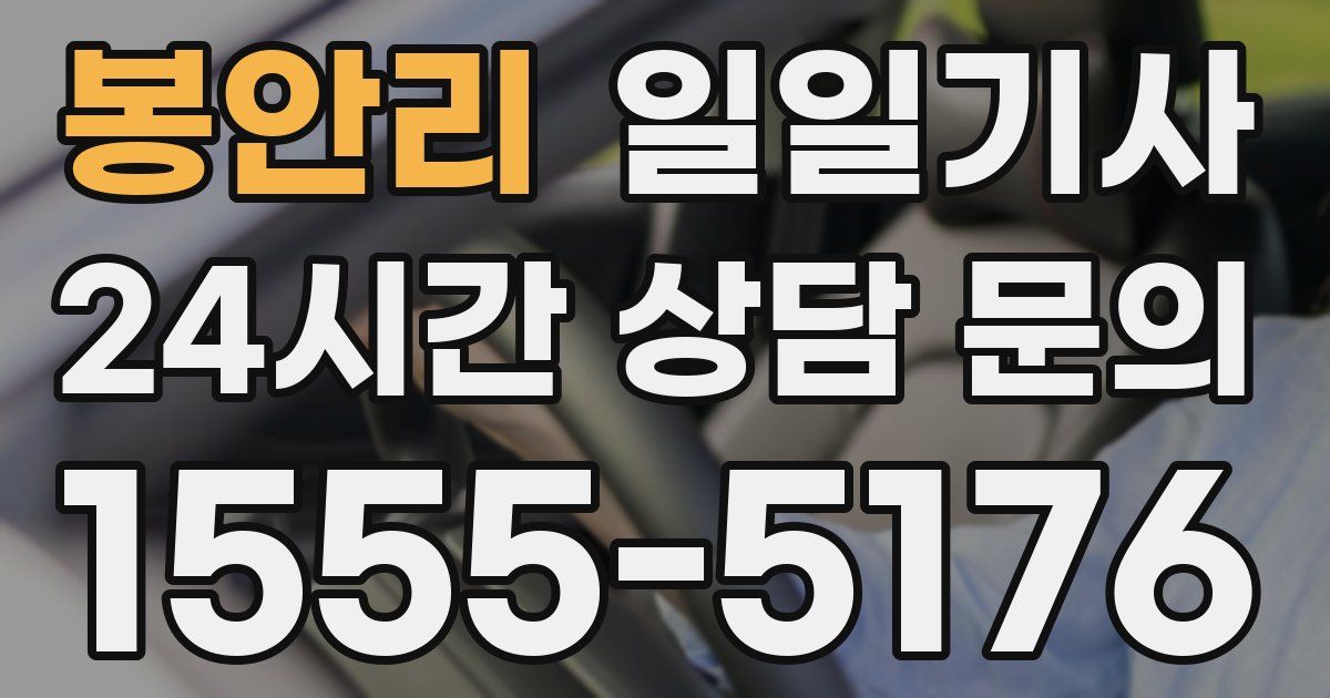 일일대리기사