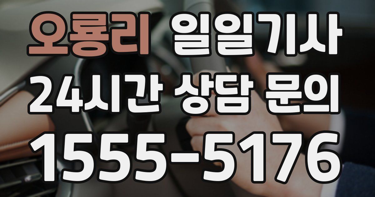 일일대리기사