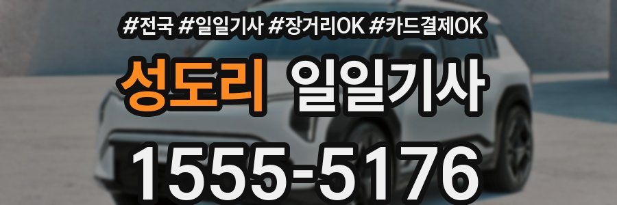 성도리 일일기사