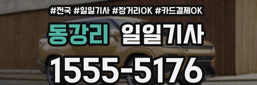 동강리 일일기사