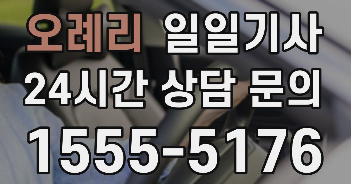 일일대리기사