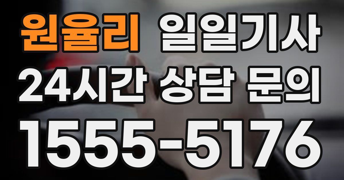 일일대리기사