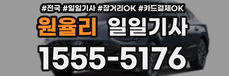 원율리 일일기사