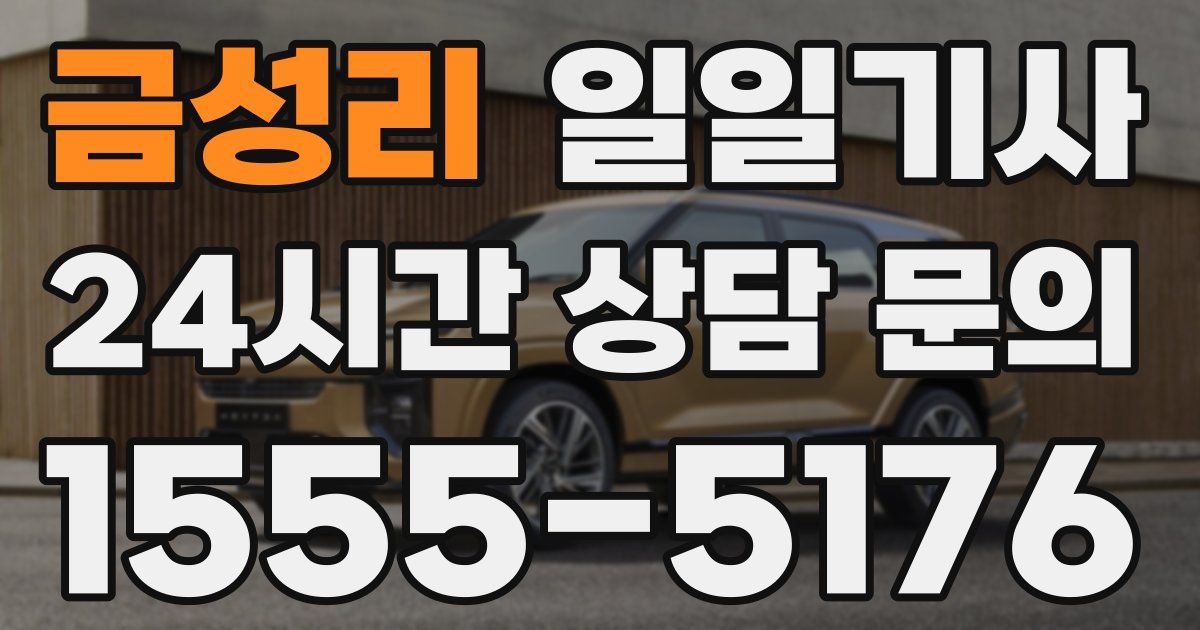 일일대리기사