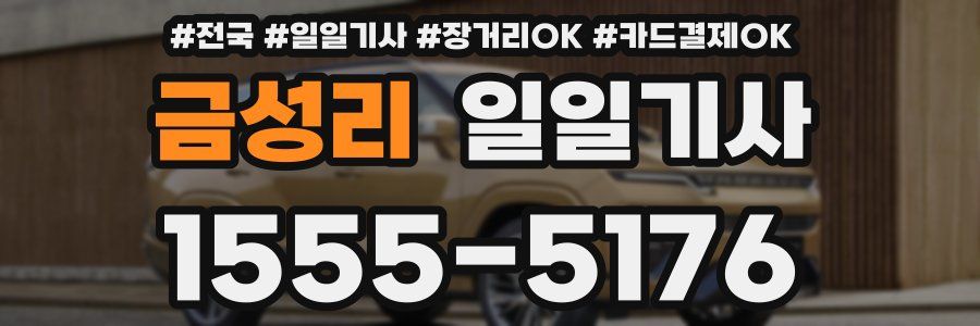 금성리 일일기사