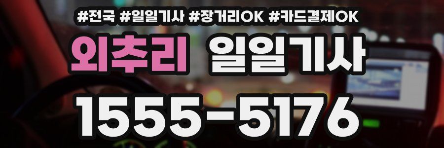 외추리 일일기사