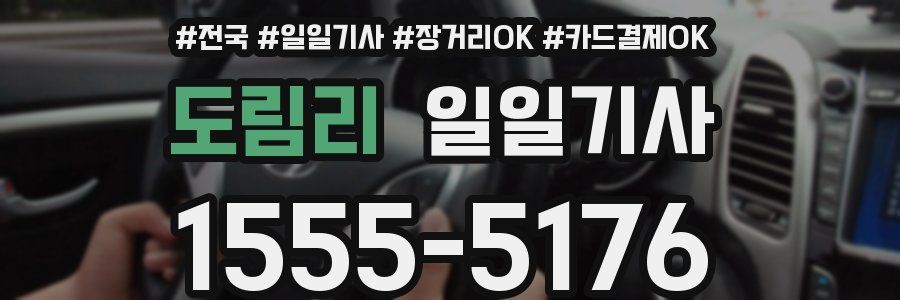 도림리 일일기사