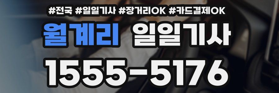 월계리 일일기사
