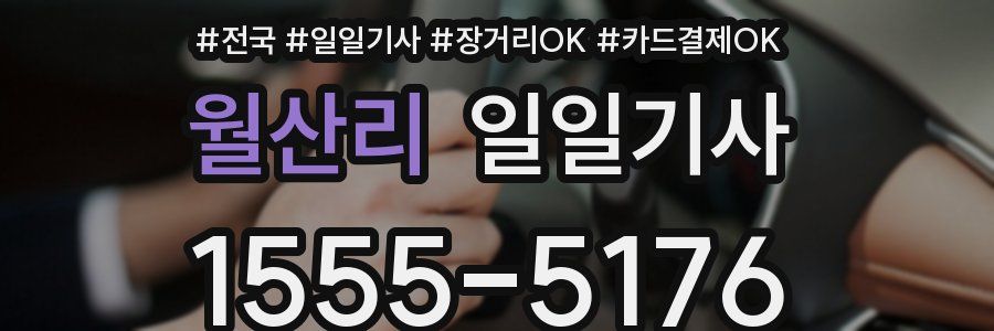 월산리 일일기사