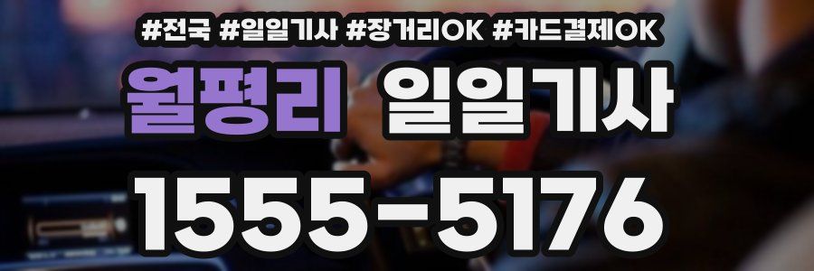 월평리 일일기사