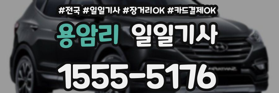 용암리 일일기사