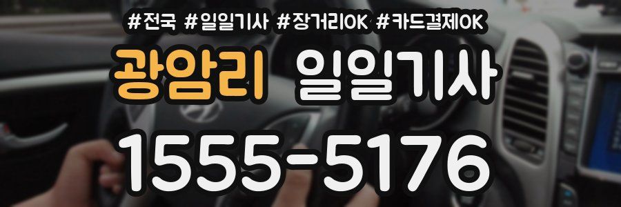 광암리 일일기사