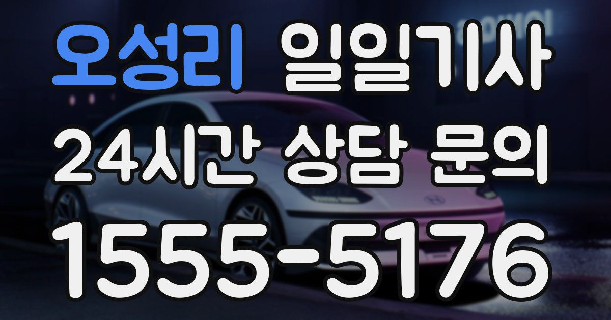일일대리기사
