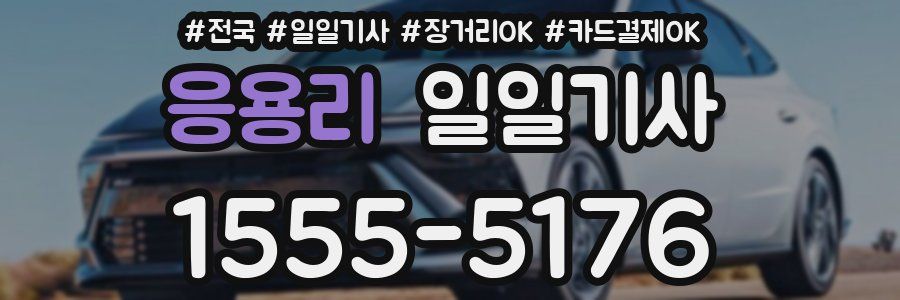 응용리 일일기사