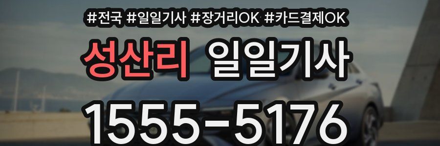 성산리 일일기사