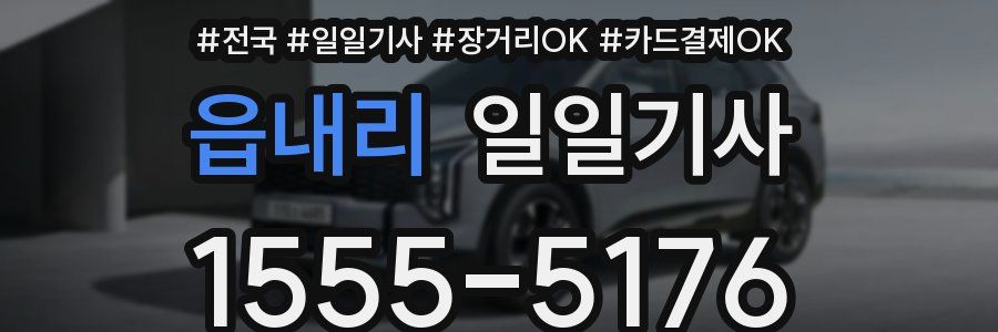 읍내리 일일기사