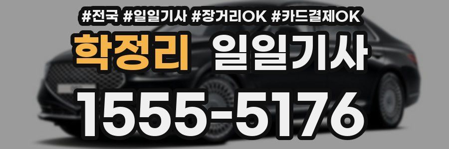 학정리 일일기사