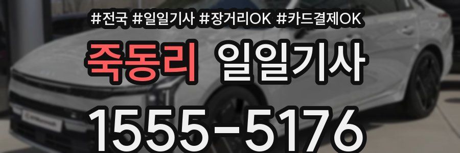 죽동리 일일기사