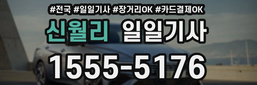 신월리 일일기사