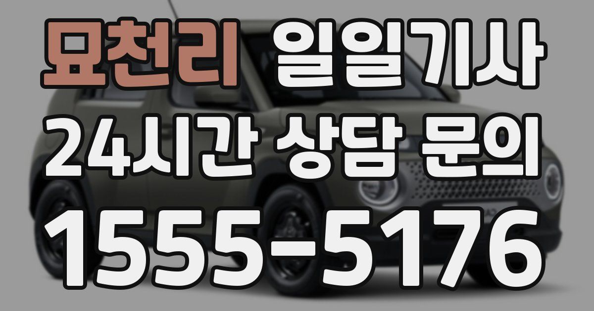 일일대리기사