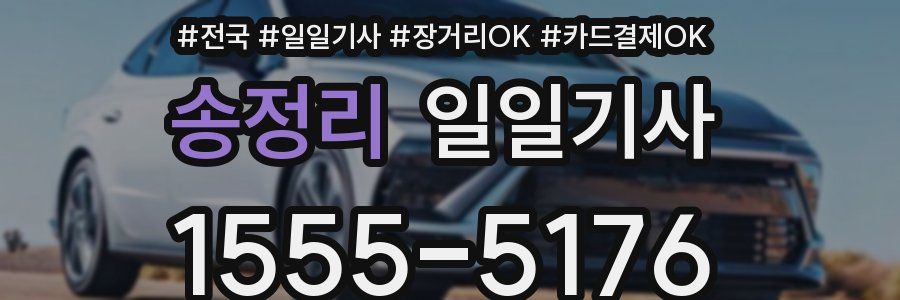 송정리 일일기사