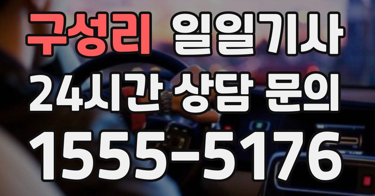 일일대리기사