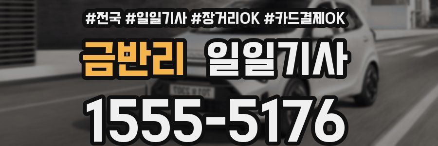 금반리 일일기사