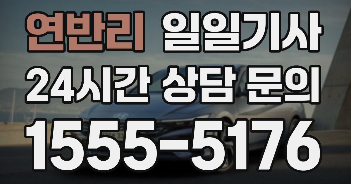 일일대리기사