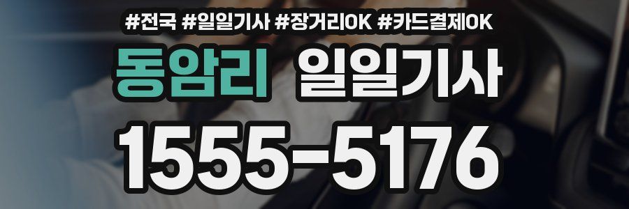 동암리 일일기사