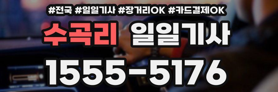 수곡리 일일기사