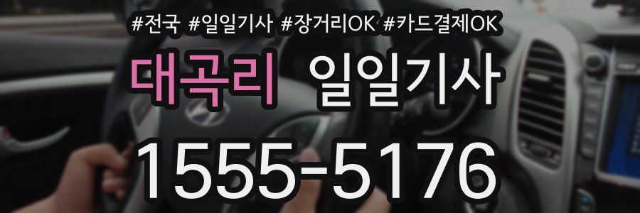 대곡리 일일기사