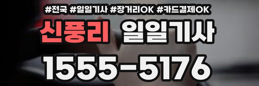 신풍리 일일기사