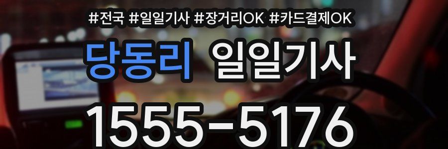 당동리 일일기사