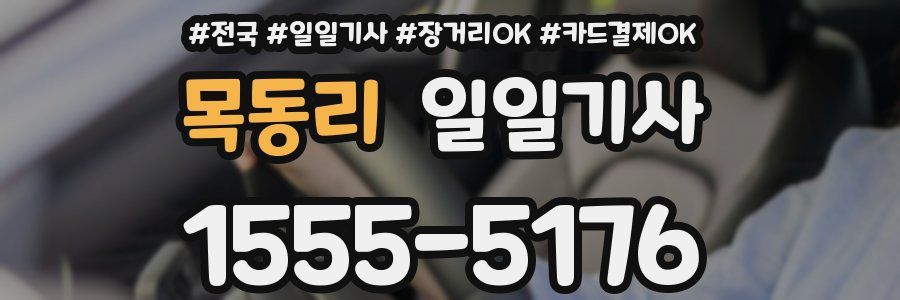 목동리 일일기사