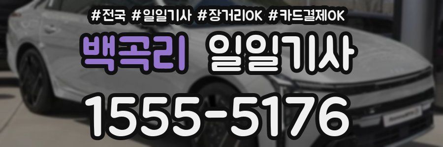 백곡리 일일기사