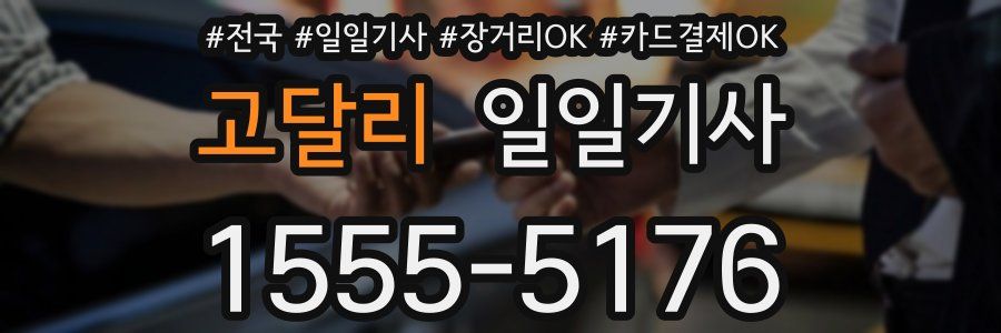 고달리 일일기사