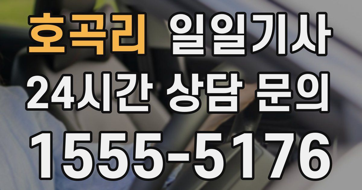 일일대리기사