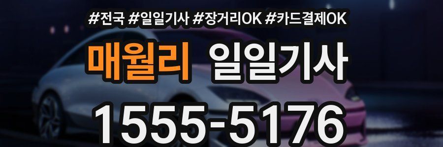 매월리 일일기사