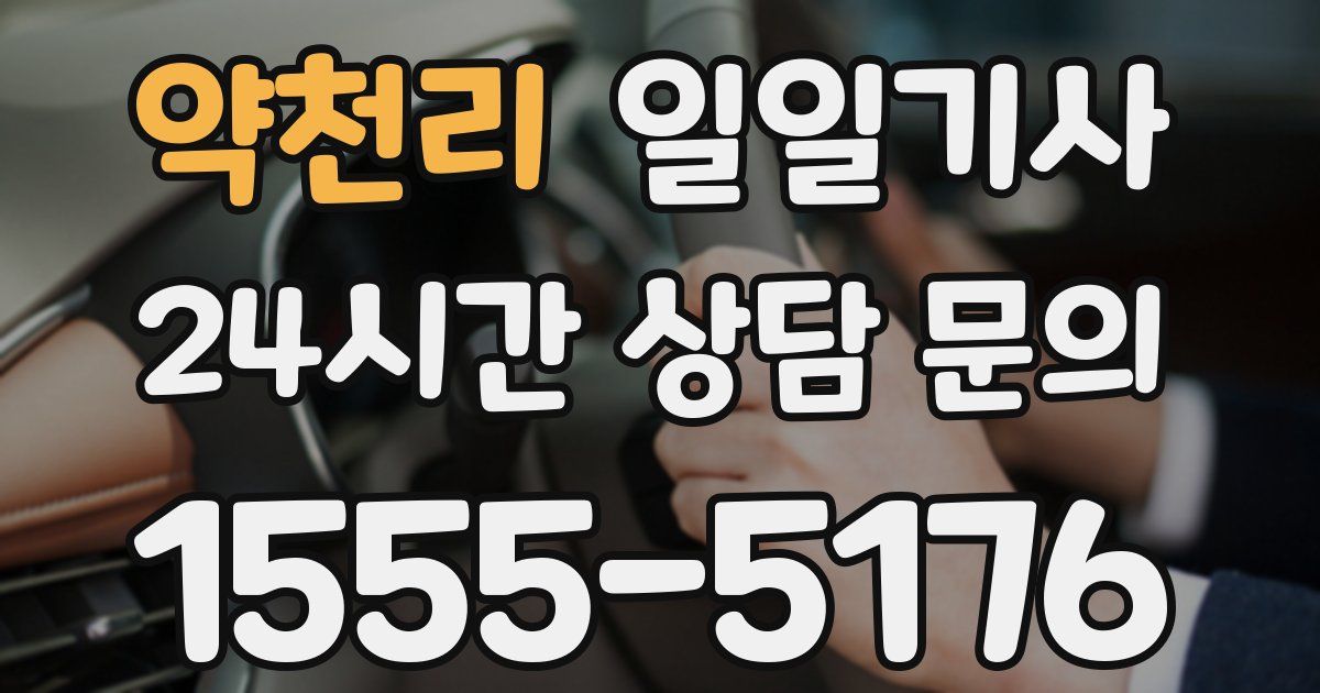 일일대리기사