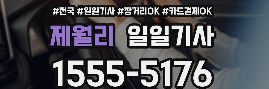 제월리 일일기사
