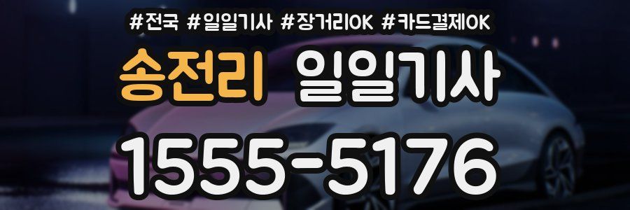 송전리 일일기사